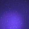 Vordruck auf Sicherheitspapier A4, Sujet C, violet mit Hologramm (50/100/250 Blatt)